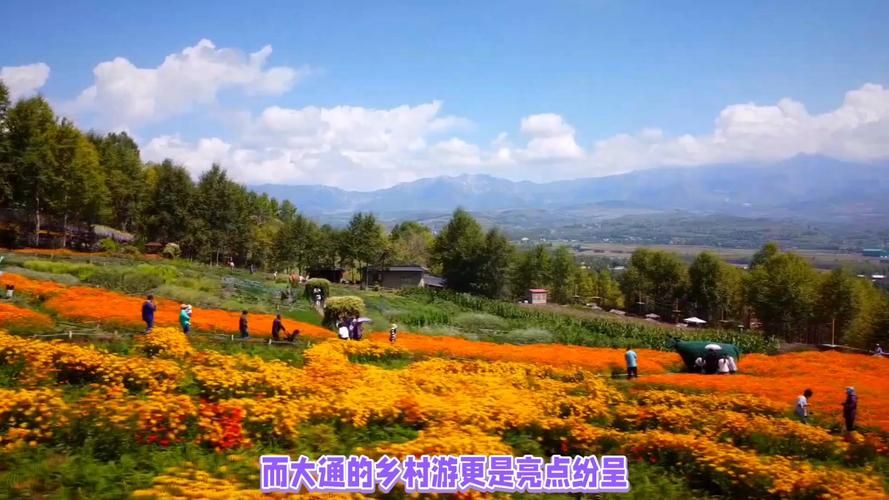大通回族土族自治县静默标准最新公布/大通回族土族自治县图片