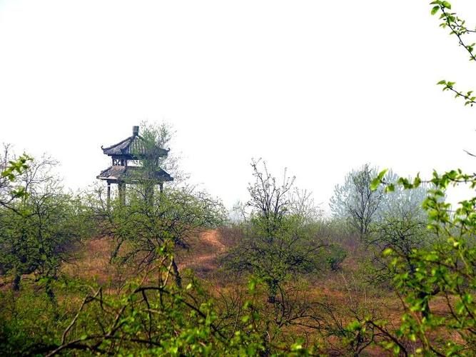 宁夏回族自治区石嘴山惠农区什么时候可以静默(石嘴山惠农区现在有雨没)