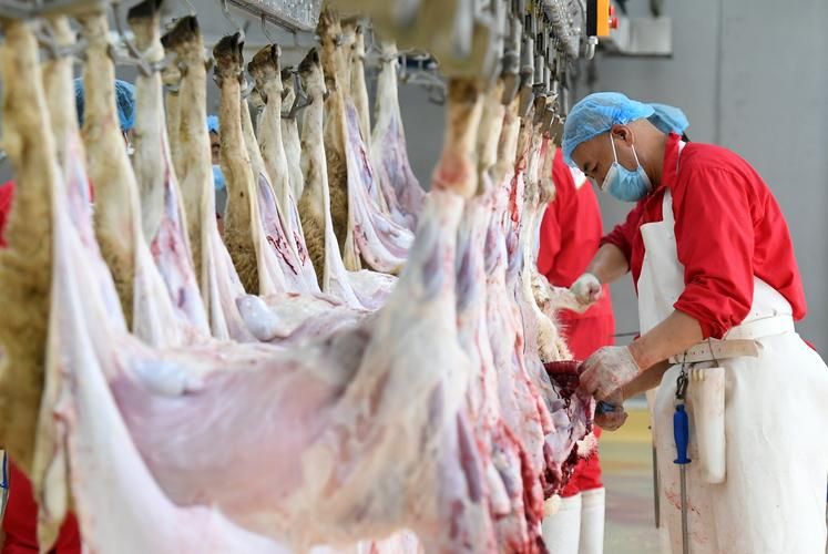 31个省份新增阳性感染者5例均在广西壮族自治区河池都安瑶族自治县的简单介绍