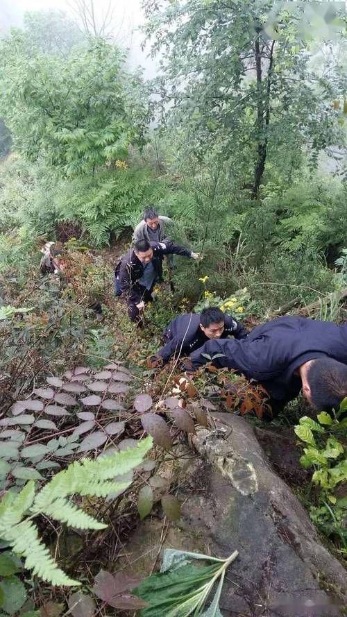 四川宜宾屏山县死亡病例已爆发8地/宜宾屏山县523命案