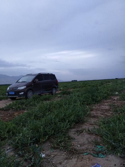 关于新疆维吾尔自治区巴音郭楞蒙古自治州和硕县新增15例阳性感染者，从涉8省抵江西省赣州市上犹县的信息