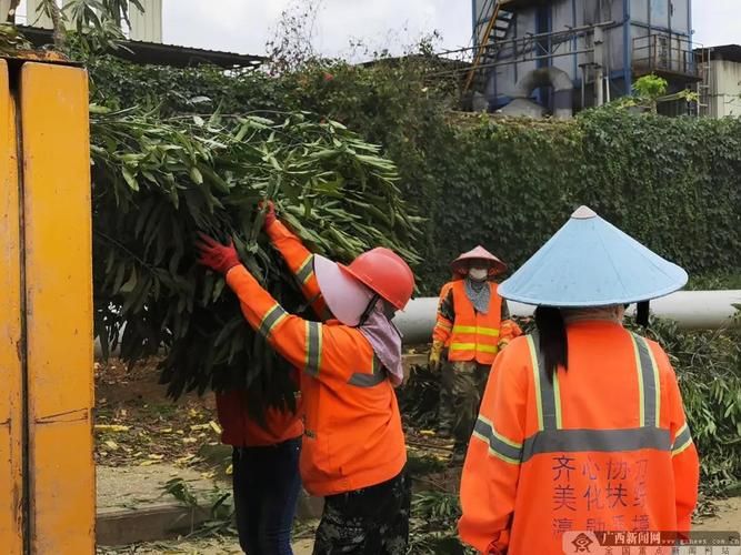 扶绥县现有本土确诊4例/扶绥县最新新闻