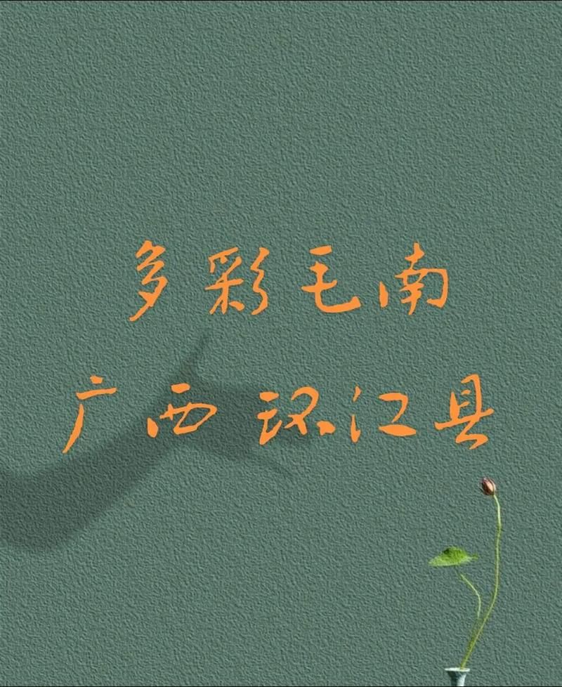 广西壮族自治区河池市环江毛南族自治县首例核酸阳性来源公布/河池环江县是哪个省