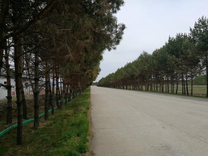 抚远新增阳性感染者27例，均在甘肃省平凉市庄浪县/抚远属于哪个省哪个市