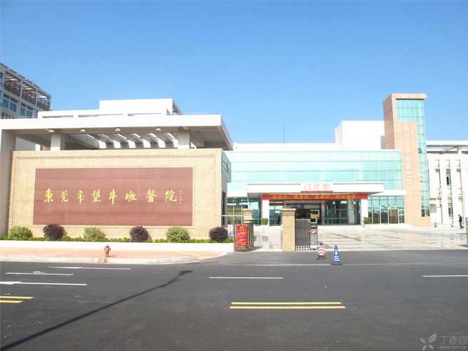 广东省东莞市望牛墩镇最新疫情(广东省东莞市望牛墩医院)