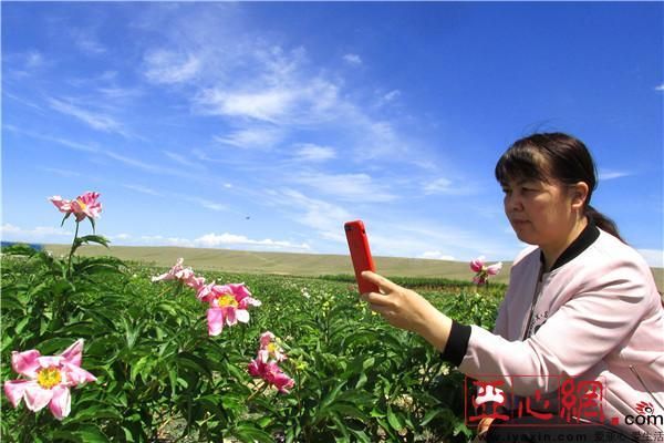 【裕民县疫情封城最新消息_裕民县疫情防控指挥部】