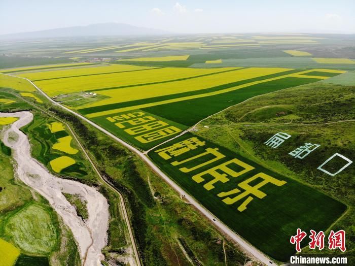 甘肃张掖民乐县近3天境外输入最新通报(甘肃民乐县封城了吗)