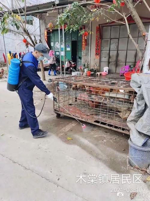 最新疫情情况通报海南儋州木棠镇_海南省儋州市木棠镇