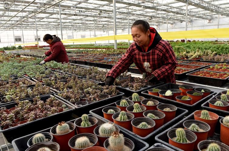 河北邢台南和区疫情封城最新消息(河北邢台南和区疫情封城最新消息通知)