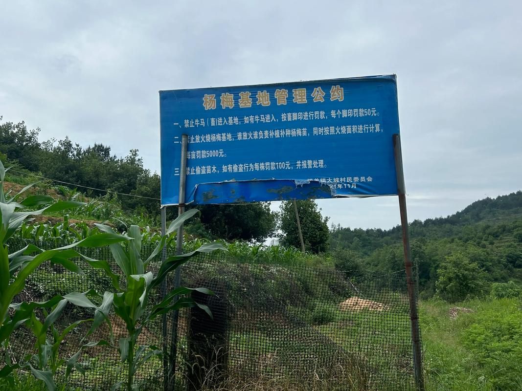 专家:紫云苗族布依族自治县每年或现多个感染高峰/紫云苗族布依族苗族自治县