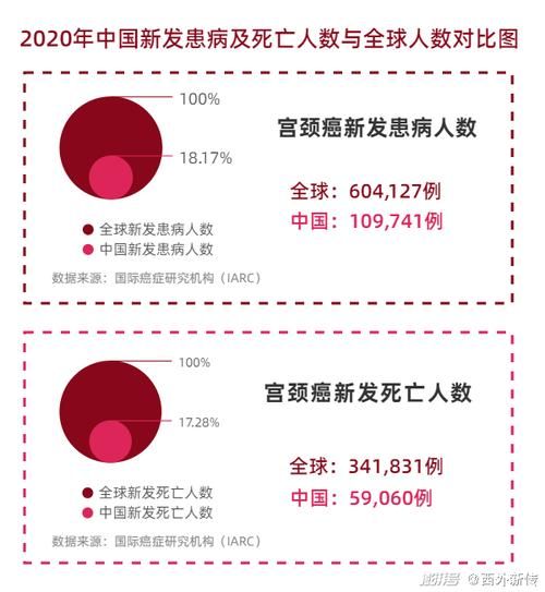 全国新增死亡病例2例:全国新增病例死亡人数