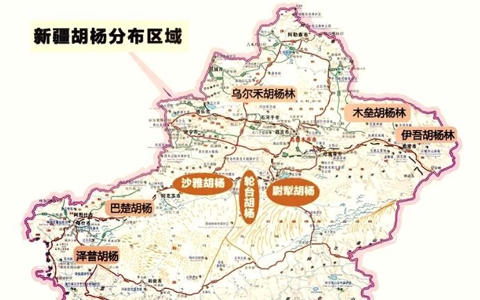 【胡杨河市疫情风险地区划分_胡杨河市属于哪里管】