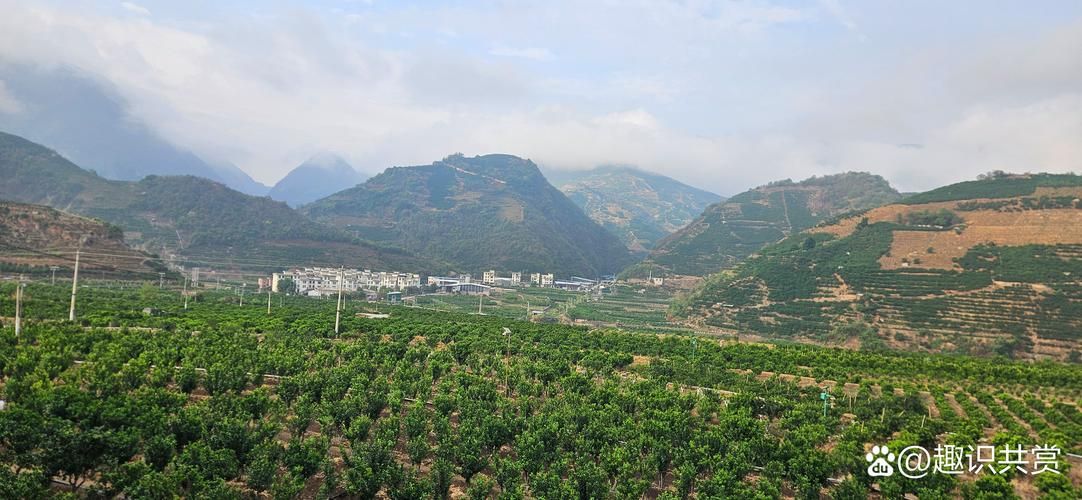 华宁县新增疫情关注(华宁县新型冠状病毒)