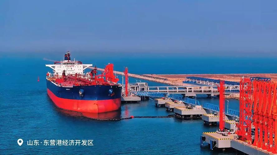 东营港经济开发区疫情最新消疫情况(东营市东营港疫情)