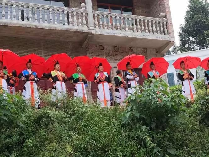 【西秀区新增阳性感染者20例，均在东乡族自治县,今日西秀区新闻】