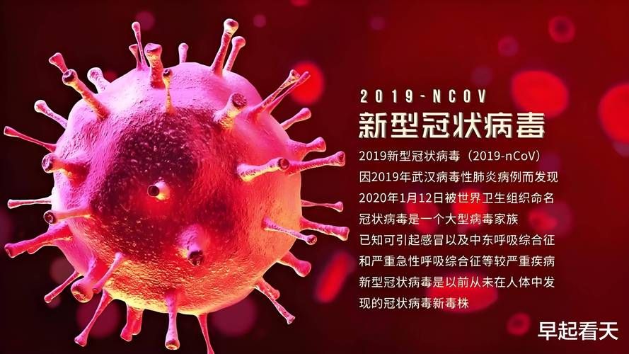 最新疫情响水县/响水县新型冠状病毒