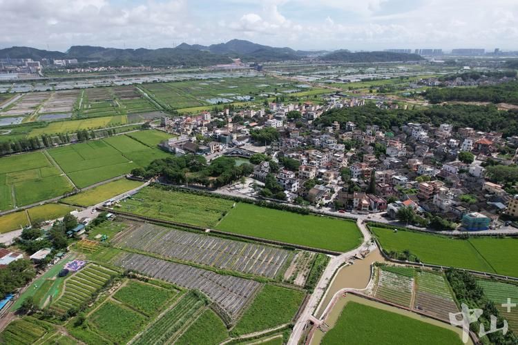 疫情最新报告广东中山南朗街道新闻/中山南朗新闻网最新消息