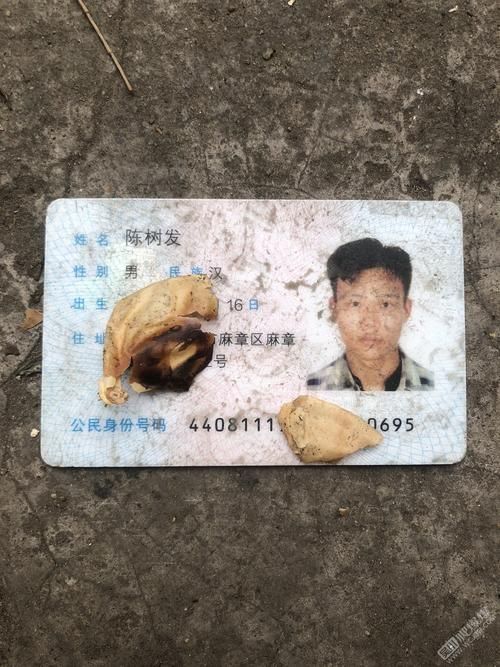  最新通报麻章区疫情防控最新文件:麻章区防疫站电话