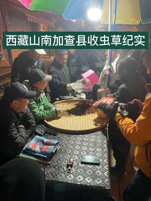 西藏自治区山南加查县疫情最新消疫情况/西藏山南疫情防护最新情况