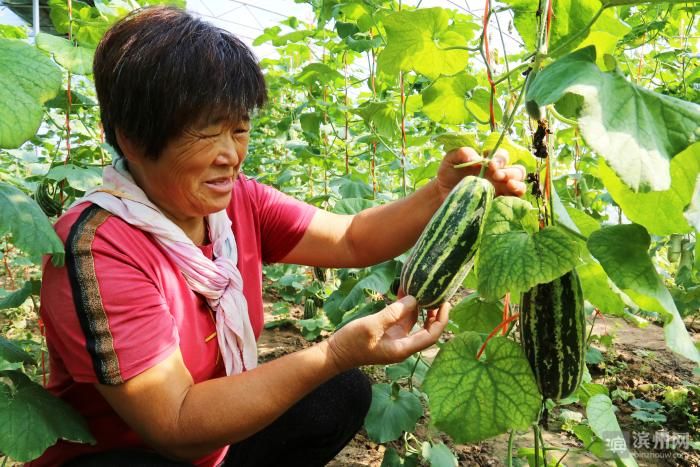山东滨州惠民县最新通告:所有人员静默/滨州市惠民县封城