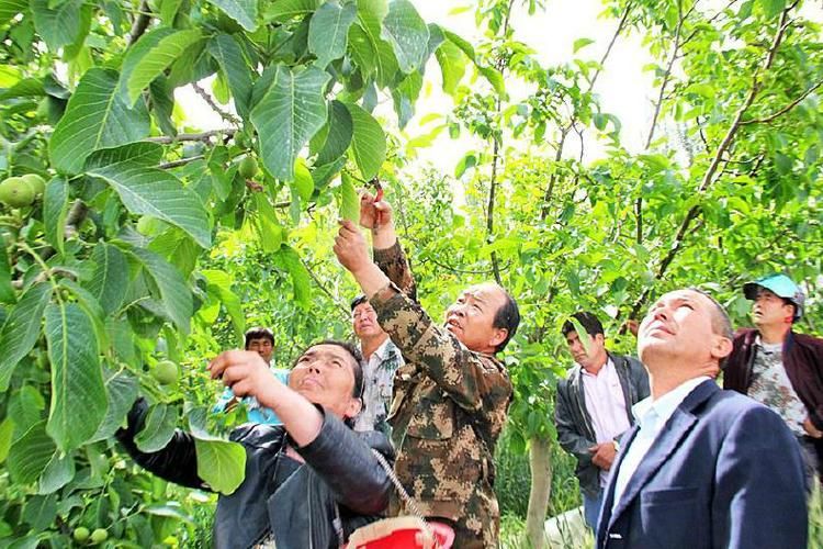 【疫情最新报告沙雅县新闻_沙雅县新闻今天】