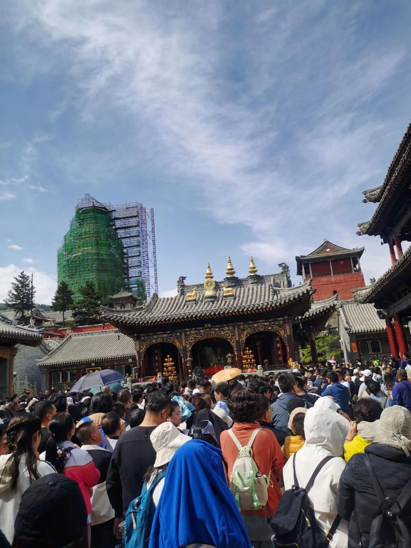  山西省忻州市五台山风景名胜区今日本土确诊疫情通报:五台山役情