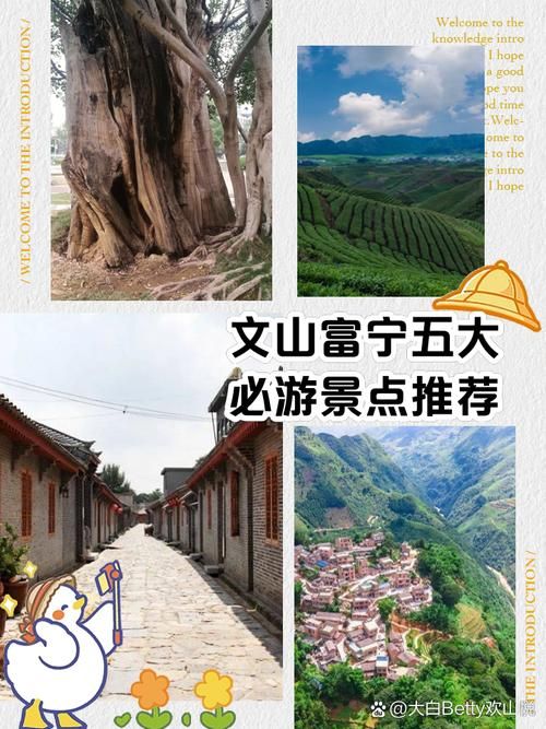 云南省文山壮族苗族自治州富宁县几个地区有疫情发生/文山州富宁县属于哪个市