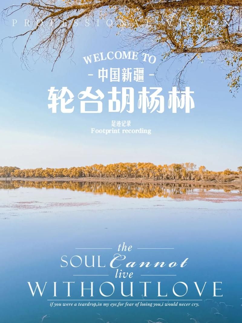 【新疆维吾尔自治区巴音郭楞蒙古自治州轮台县中高风险地区疫情,巴音郭楞轮台县属于哪个市】