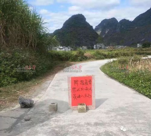 【疫情防控中风险地区!桥头镇_桥头镇疫情封路那里路口】