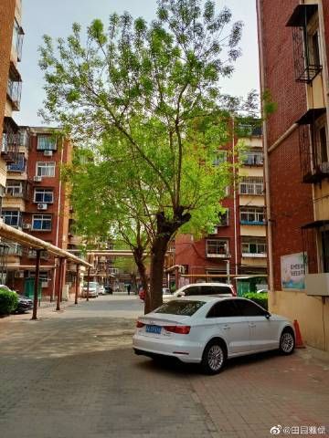 黑龙江绥化绥棱县地区有没有发现疫情/2021绥化绥棱疫情行动轨迹