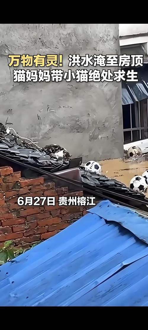 贵州黔南布依族苗族自治州瓮安县中高风险地区疫情/贵州省瓮安县疫情