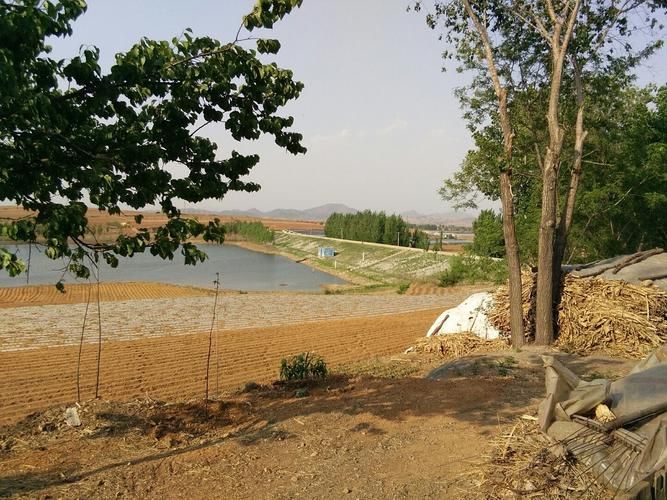 河北省秦皇岛市卢龙县中高风险地区疫情(秦皇岛市卢龙县属于哪个区)