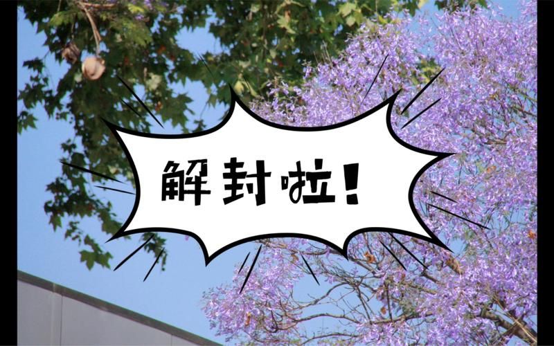 河南平顶山卫东区最新通告：所有人员解封_平顶山解封通知