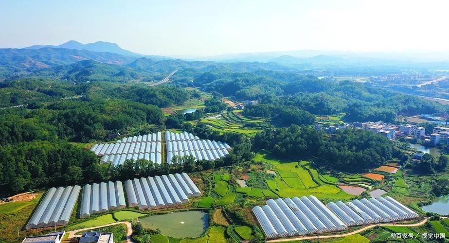 解读疫情最新消息贵州省铜仁市万山区_铜仁万山区图片