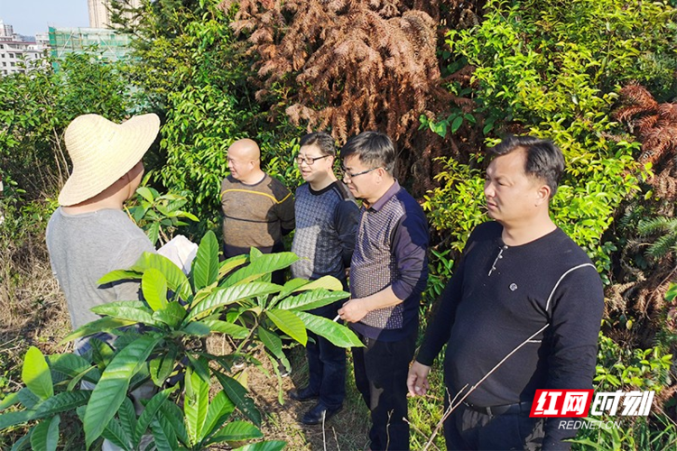 【湖南郴州临武县疫情防控中风险地区_郴州临武最新疫情】