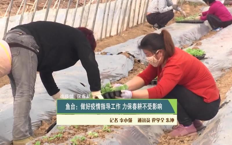 【鱼台县疫情地区分布,鱼台县疫情防控指挥部】