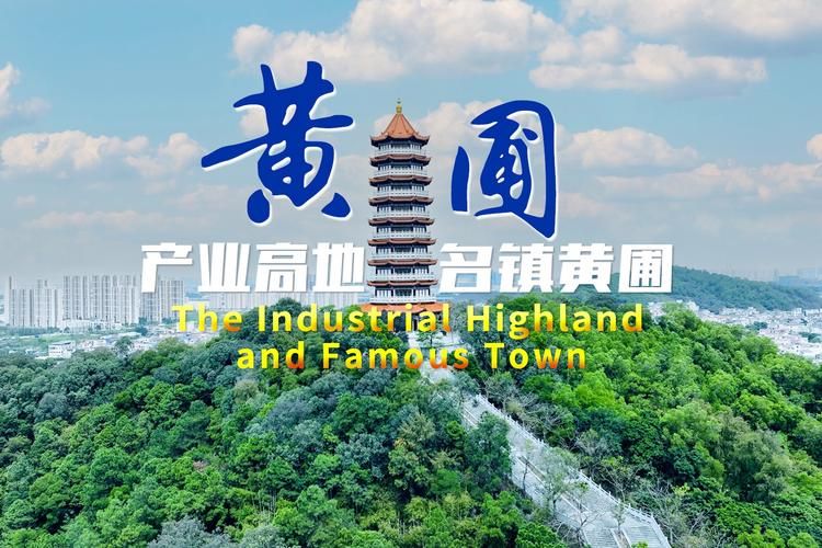 【黄圃镇今冬新增死亡病例19例,黄圃镇新闻】