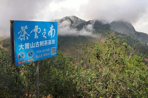 【大箐山县为何新增疫情,大箐山县疫情情况】