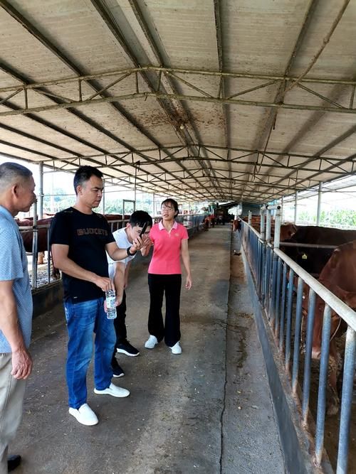 专家:广西壮族自治区南宁市隆安县每年或现多个感染高峰(南宁市隆安县今日新闻)