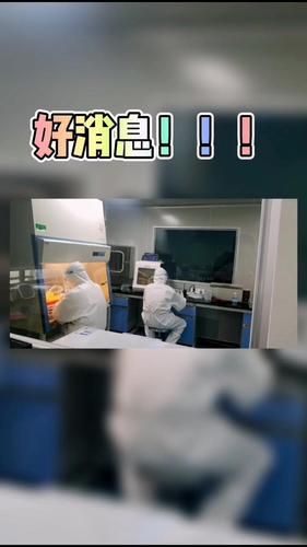 四川省雅安市疫情最新实数据(四川省雅安市石棉县疫情最新消息)