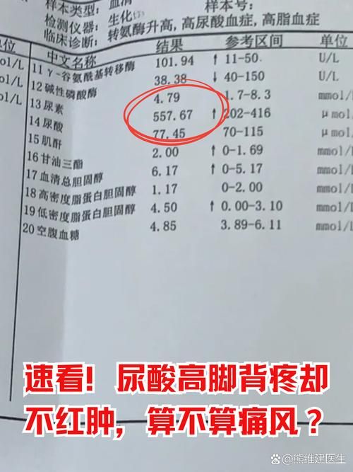 四川广元苍溪县中高风险地区疫情/广元市苍溪县疫情等级