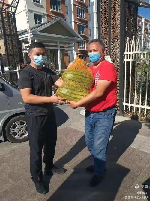 哈巴河县新增疫情最新(哈巴河县县城照片)
