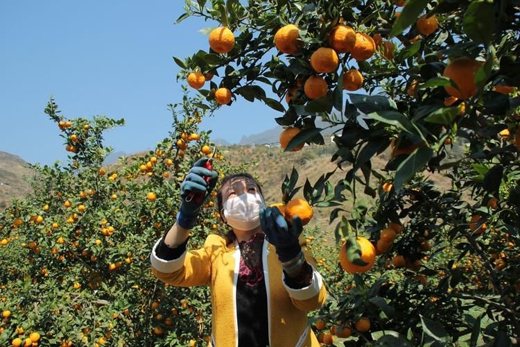 全球新增境外输入6例石棉县8例/石棉新闻突发最新消息