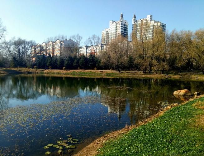 黑龙江省伊春市铁力市新增疫情关注:伊春铁力市城区图片