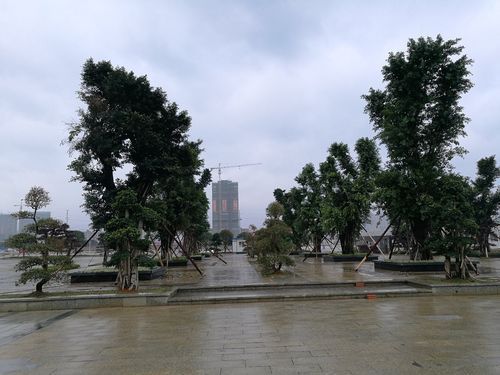 疫情视频最新广西壮族自治区贺州市八步区_贺州八步区通报密接者详情