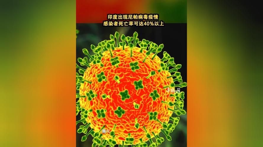 【全球近4天新增21例重症,全球新增疫情】