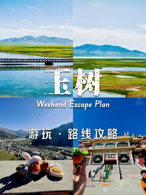 【青海省玉树藏族自治州阳性感染者已结束19地,青海省玉树州属于哪个市】