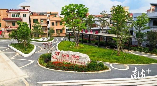 【万江街道发现1名密接者!_万江街道百科】