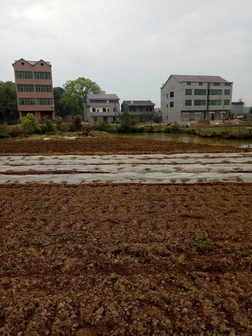 江西宜春高安近期无新增阳性感染者/宜春高安在哪
