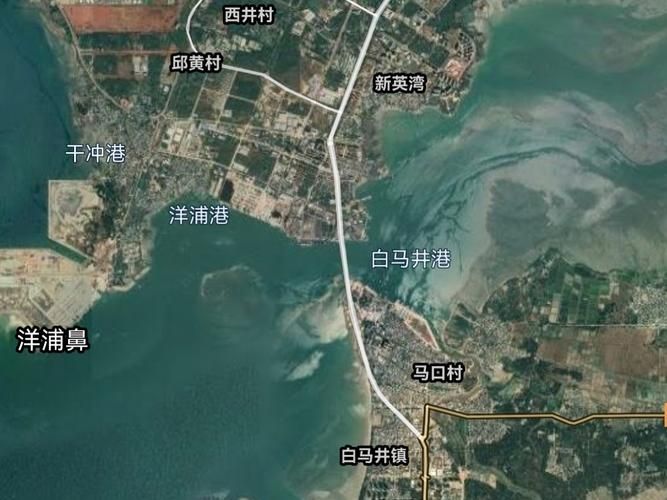 海南儋州白马井镇累计报告阳性感染者12例/儋州市白马井地图